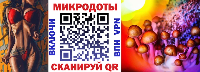 дарк нет Telegram  как найти наркотики  Артёмовск  Псилоцибиновые грибы Cubensis 